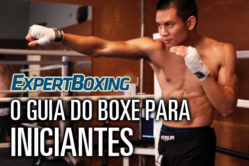 O Guia do Boxe para INICIANTES