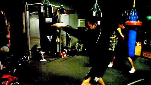 Guia do Boxe Sombra